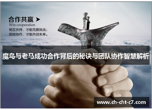 魔鸟与老马成功合作背后的秘诀与团队协作智慧解析
