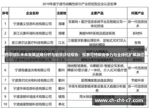 西甲球队未来发展战略分析与前景评估报告：探索可持续竞争力与全球化扩展路径